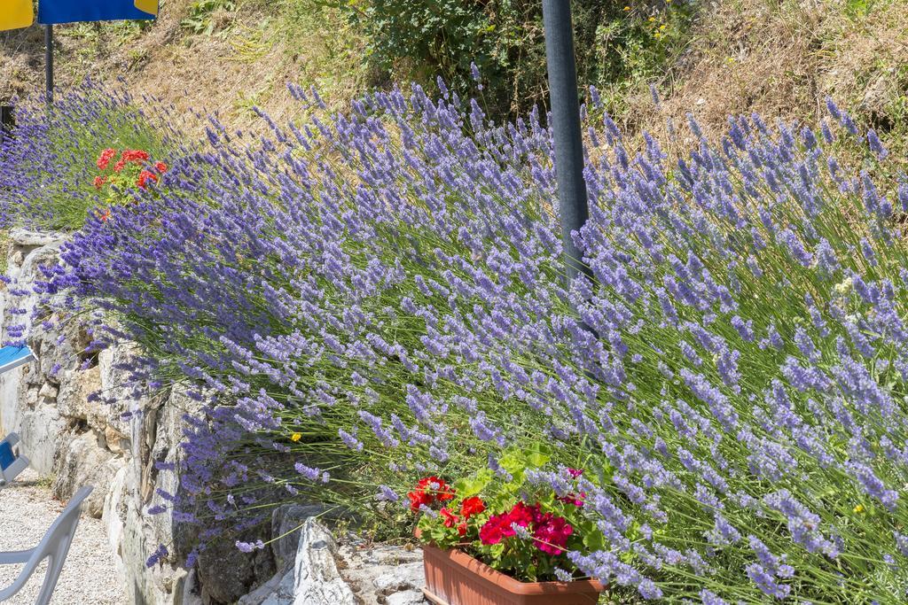 אומברטידה Agriturismo Monte Acuto מראה חיצוני תמונה