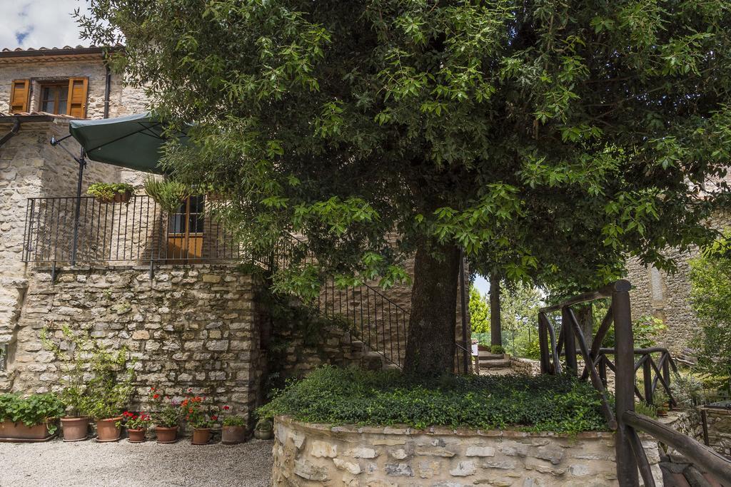 אומברטידה Agriturismo Monte Acuto חדר תמונה